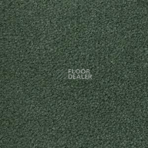 Ковролин Radici Montecarlo 73 фото 1 | FLOORDEALER
