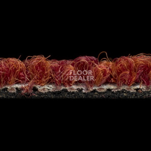 Desso Grain 4211 фото 4 | FLOORDEALER