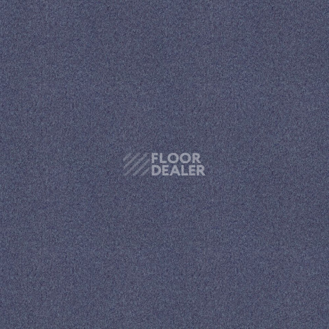 Ковровая плитка Forbo Tessera basis pro 4380 Blackcurrant фото 1 | FLOORDEALER