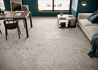 Bierzo 60X120 Gris фото 2 | FLOORDEALER