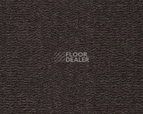 Ковролин Best Wool Pure Tasman 179 фото 1 | FLOORDEALER