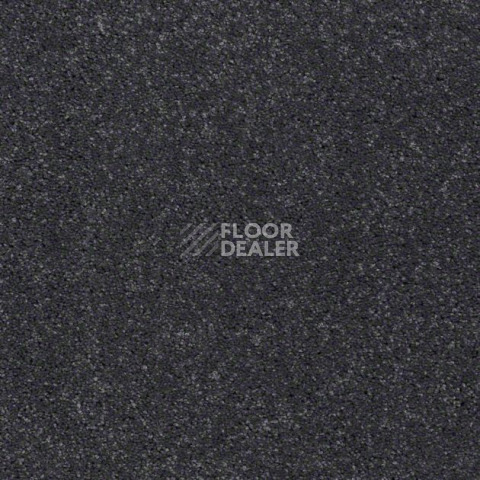 Ковролин Shaw Design Texture Platinum 505 фото 1 | FLOORDEALER