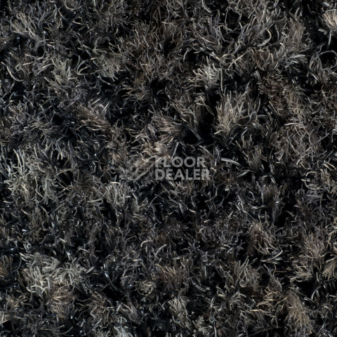 Forbo Coral Brush 5721 Hurricane Grey фото 2 | FLOORDEALER