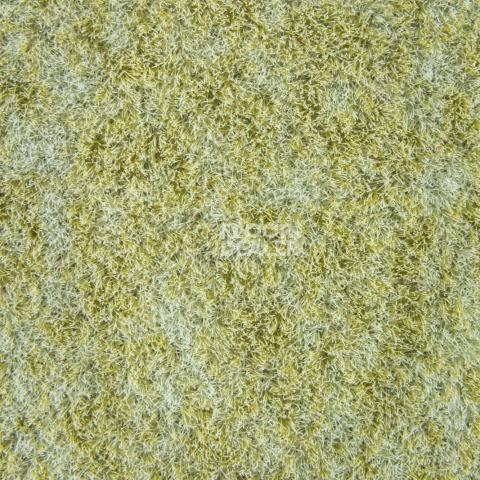 Forbo Flotex Colour s 482006 Penang Sage фото 2 | FLOORDEALER