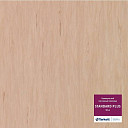 Линолеум Tarkett Standart Plus 914  | FLOORDEALER