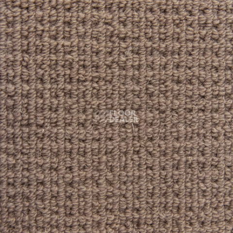 Ковролин Bonkeel Welfare Brown фото 1 | FLOORDEALER
