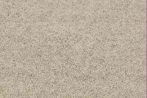 Ковролин Jacaranda Carpets Bilpar Pearl фото  | FLOORDEALER