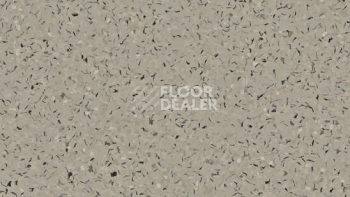 Линолеум Tarkett iq Toro Sc Toro DARK SAND 0955 фото 1 | FLOORDEALER