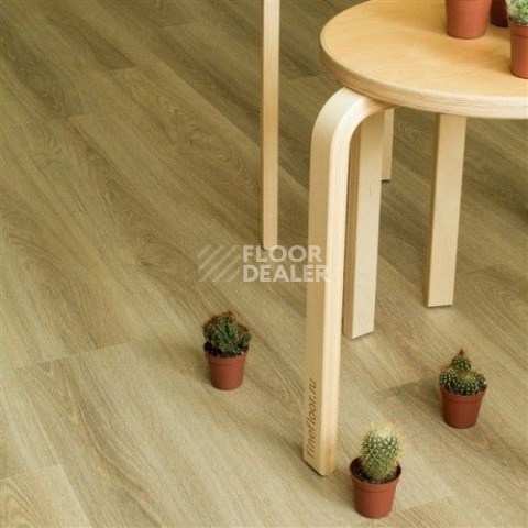 FineFloor FF-1300 Light FF-1339 Дуб Кларе фото 2 | FLOORDEALER
