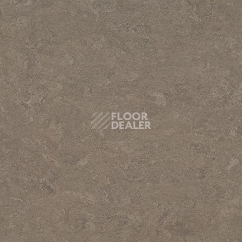 Линолеум Gerflor Marmorette DLW  2mm 0164 Milk Coffee фото 1 | FLOORDEALER