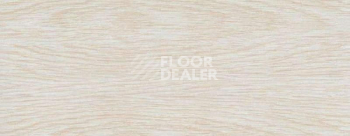 Плинтус Dollken EP 60/13 2629 фото 2 | FLOORDEALER