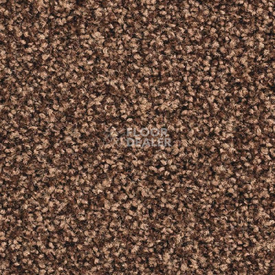 Ковролин Balsan Script 730 фото 1 | FLOORDEALER