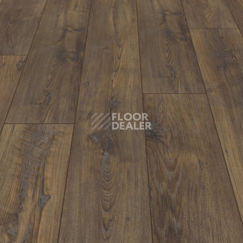 My Floor Chalet 10мм m1005 Каштан фото 3 | FLOORDEALER