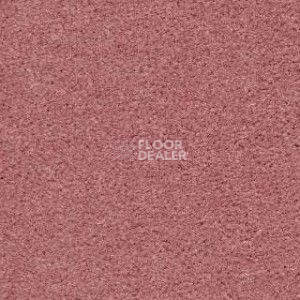 Ковролин Radici Montecarlo 9 фото 1 | FLOORDEALER