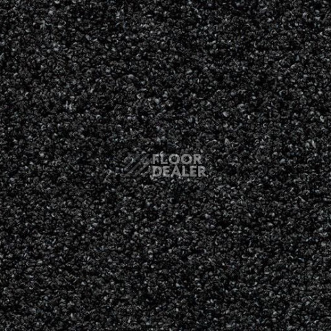 Грязезащитные покрытия Forbo Coral Luxe 2910 Onyx фото 1 | FLOORDEALER