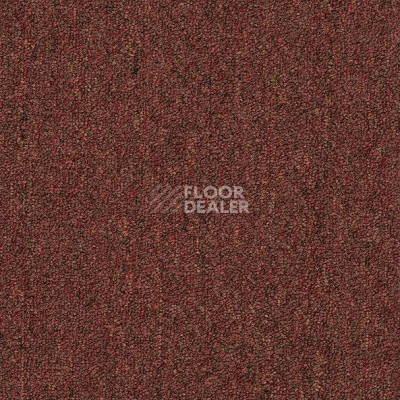 Ковровая плитка Shaw Momentum 02705 фото 1 | FLOORDEALER