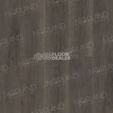 Кварцвиниловые полы Norland Sigrid Plus 4мм Baggy 1006-02 фото 1 | FLOORDEALER