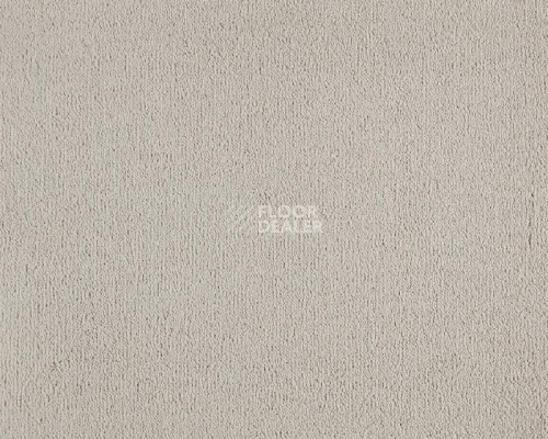 Ковролин Lano Celeste 240 Cream фото 1 | FLOORDEALER
