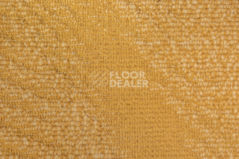 IVC Liberate 232 фото 2 | FLOORDEALER