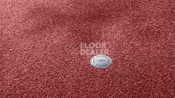 Vorwerk Superior 1064/Lyrica Vorwerk 1n38 фото 2 | FLOORDEALER