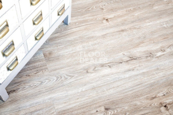 Alpine Floor Sequoia (SPC) Секвойя Классик ЕСО 6-10 SPC фото 3 | FLOORDEALER