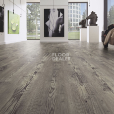 Kronotex Dynamic Plus d4781 Дуб Курганный фото 2 | FLOORDEALER