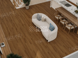 Norland Elegant 8мм Дуб Этна LF301-20 фото 2 | FLOORDEALER