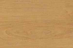 Линолеум Gerflor Taraflex Multi-Use 6.2 Wood 4331_Wood_Natural фото  | FLOORDEALER
