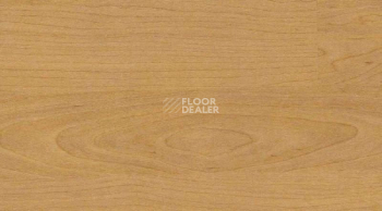 Линолеум Gerflor Taraflex Multi-Use 6.2 Wood 4331_Wood_Natural фото 1 | FLOORDEALER