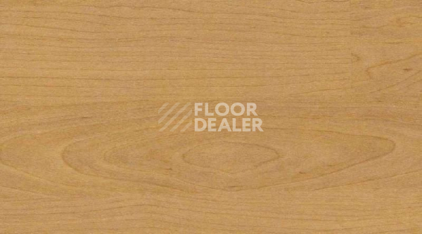 Линолеум Gerflor Taraflex Multi-Use 6.2 Wood 4331_Wood_Natural фото 1 | FLOORDEALER