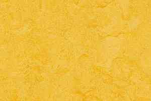 Кварцвиниловые полы Forbo Marmoleum Modular Colour 3251 фото  | FLOORDEALER