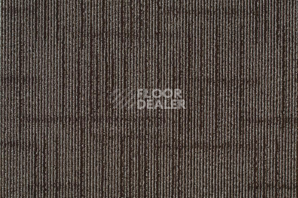Ковровая плитка Shaw Straightforward 70530 фото 1 | FLOORDEALER