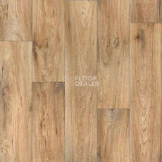 Линолеум Tarkett Evolution Wagner 2 фото 1 | FLOORDEALER