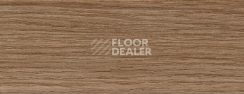 Плинтус Dollken EP 60/13 2667 фото 2 | FLOORDEALER