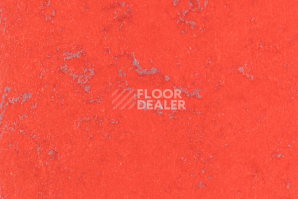 Линолеум Forbo Marmoleum Solid Concrete 3743-374335 red glow фото 1 | FLOORDEALER