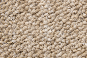 Desso Essence 2915 фото 2 | FLOORDEALER