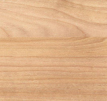 Gerflor Taraflex evolution Wood