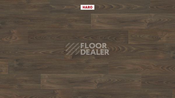 Ламинат Haro Tritty 100 4V Акация Варио 544723 фото 2 | FLOORDEALER
