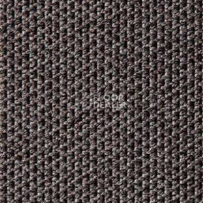 Ковролин Carpet Concept Eco Tec 280008 - 52744 фото 1 | FLOORDEALER