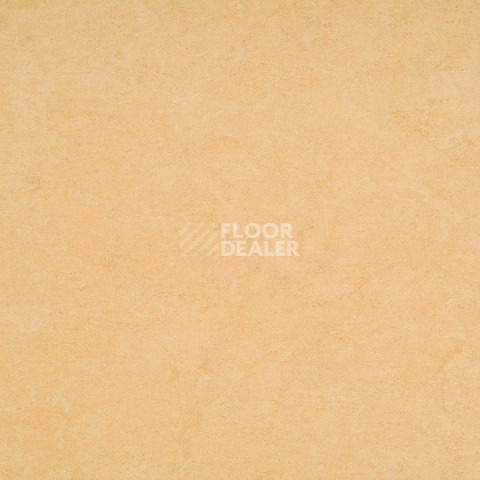 Линолеум Gerflor Marmorette Acoustic DLW 121-098 фото 1 | FLOORDEALER