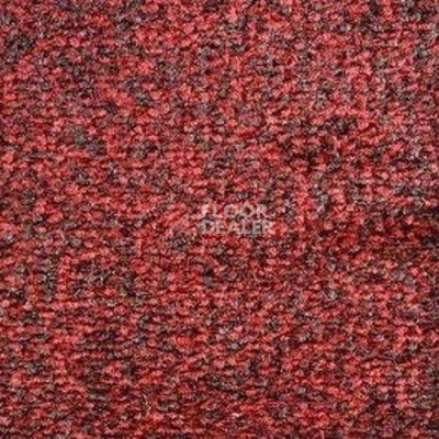 Ковролин SAG Palmira 59 фото 1 | FLOORDEALER