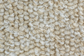 Ковролин Balsan Centaure Deco 008 фото 1 | FLOORDEALER