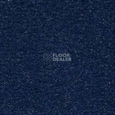 Ковролин Infloor Cosmos 351 фото 1 | FLOORDEALER