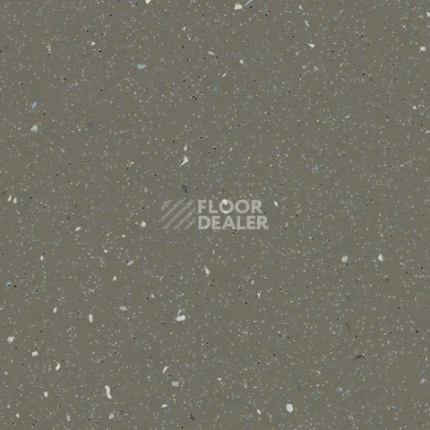 Линолеум Forbo SureStep Original 171872 earth фото 1 | FLOORDEALER