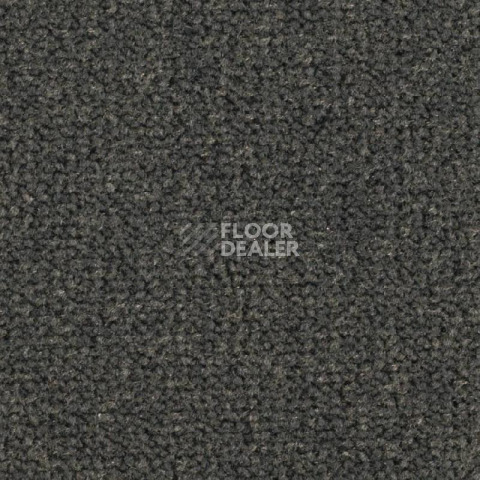Ковролин Balsan Les Best 990 фото 1 | FLOORDEALER