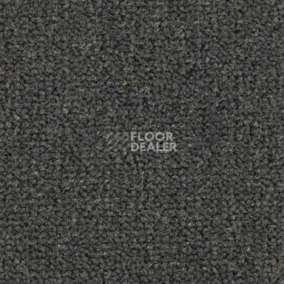 Ковролин Balsan Les Best 990 фото 1 | FLOORDEALER