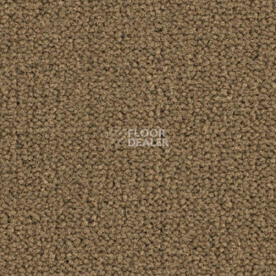 Ковролин Balsan Les Best S 775 фото 1 | FLOORDEALER