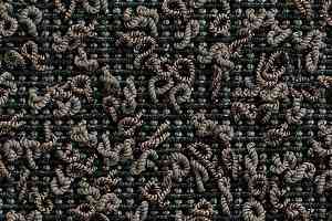 Ковролин Carpet Concept Eco Iqu S 60268 фото  | FLOORDEALER