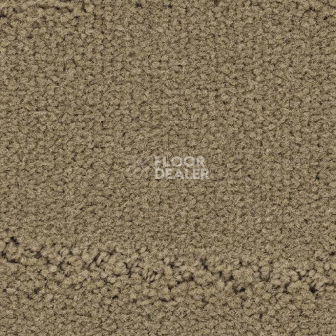 Ковролин Balsan Prado 630 фото 1 | FLOORDEALER