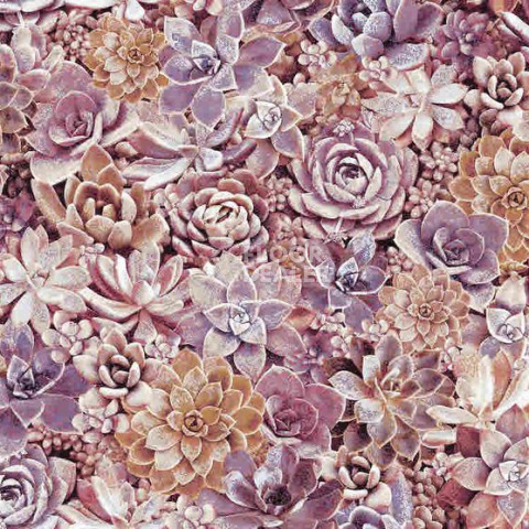 Ковролин Halbmond Pure Elements 13841 фото 1 | FLOORDEALER